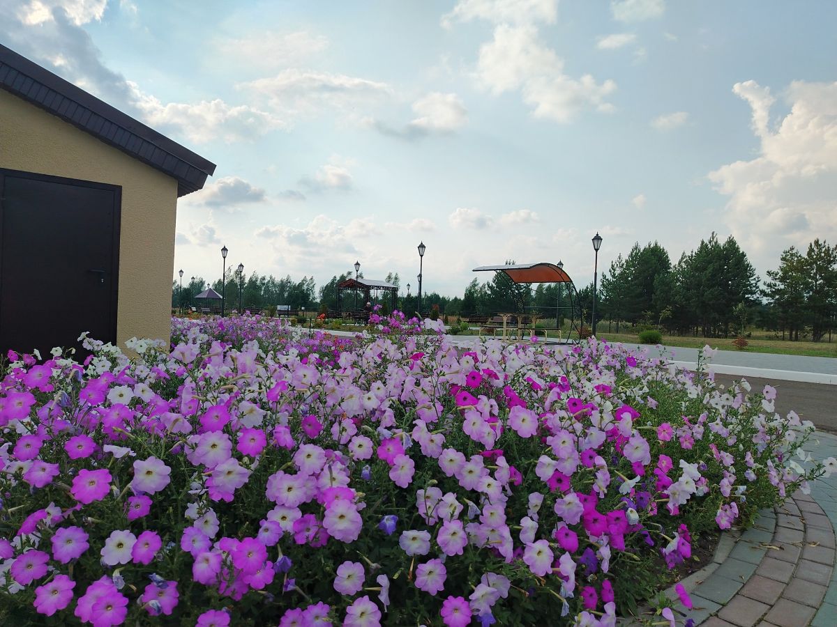 Яркие краски лета